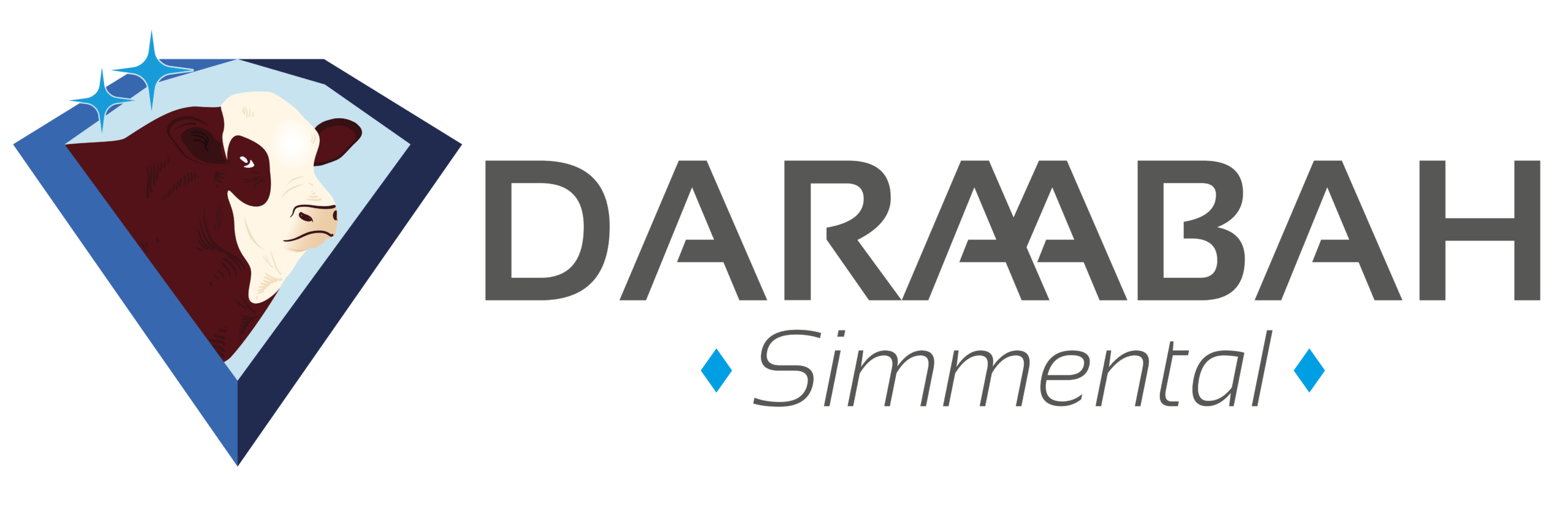 Daraabah Simmental